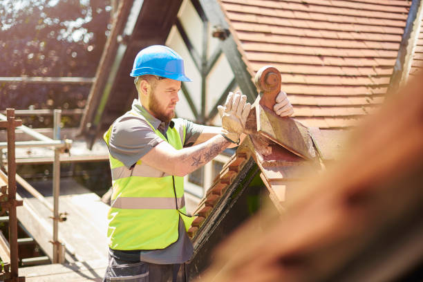 Professional Roofing Contractor in Springfield, MA